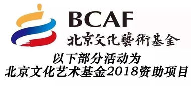 艺术教育新视野 三月聚焦，摇滚之外的多元文化艺术咨询服务