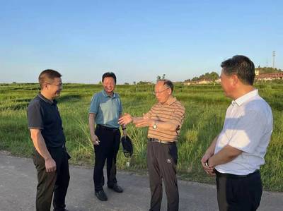 以高光品牌与文化艺术为翼，南充助力省域经济副中心建设的战略路径